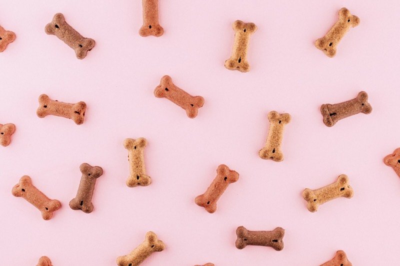 Biscuits pour chiens en forme d'os sur fond rose
